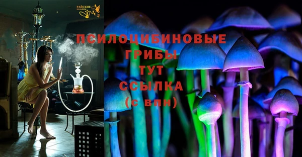 ГАЛЛЮЦИНОГЕННЫЕ ГРИБЫ Алзамай
