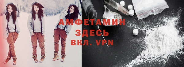 крисы Надым