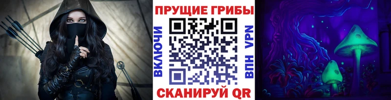 mega как зайти  Чадан  Псилоцибиновые грибы Psilocybe  закладки 